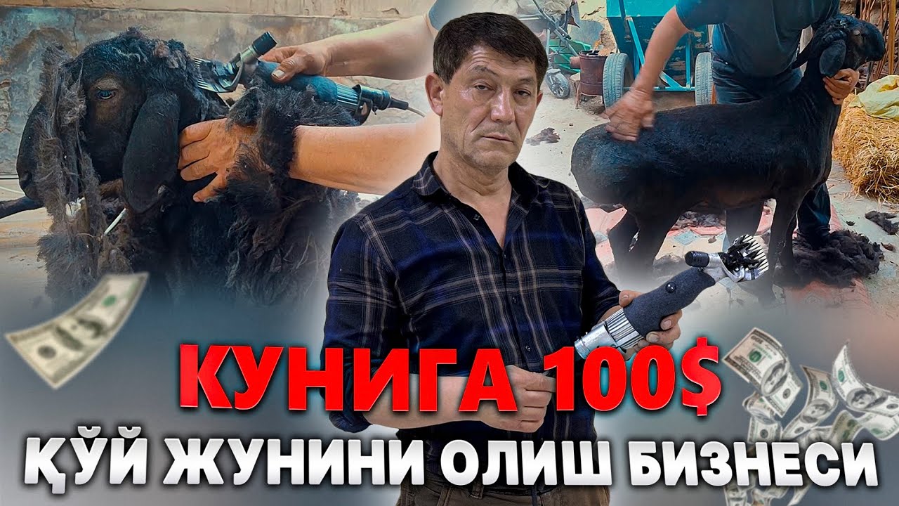 ҚЎЙ ЖУНИНИ ОЛАДИГАН МАШИНКАЛАР МСУ-200 НИ Янги Модели Ўзбекистонда