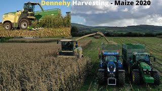 Dennehy Harvesting - Maize 2020