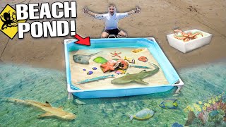 ABANDONED ISLAND SALTWATER POND Filled With EXOTIC FISH &amp; SEA CREATURES!