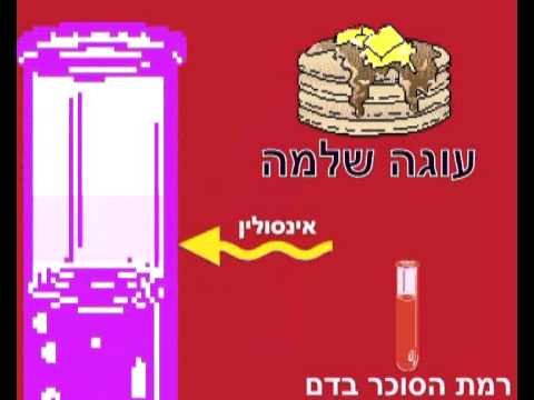 ביולוגיה - הומיאוסטזיס