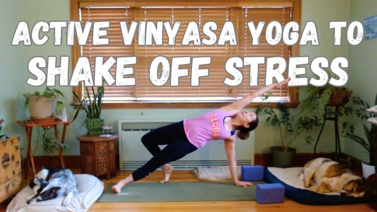 Active Vinyasa Yoga to Shake off Stress (27 minutes)