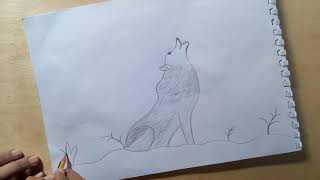 تعليم الرسم... كيف ترسم ذئب بالقلم بالرصاص بكل سهوله🌹Drawing an easy wolf in pencil
