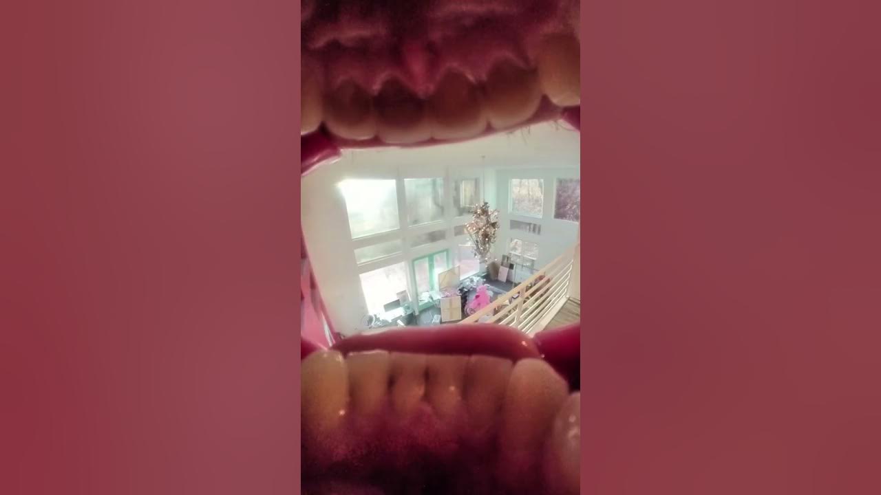 What a Kiss Looks Like from INSIDE the mouth!