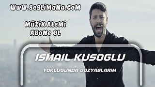 İsmail Kuşoğlu - Yokluğunda Gözyaşlarım Yağmur Damlasına Karıştı Resimi