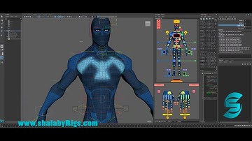 X Rig Explained _Tutorial