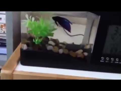Usb Desktop Aquarium Fish Tank Youtube