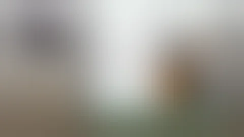 Advances in Artificial Vision: Quest for the Bionic Eye