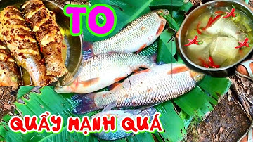 Giăng Lưới Ao Bắt CÁ NƯỚNG, NẤU CANH CHUA Ngon Tuyệt | Catch | Jrai Food | Jrai Life