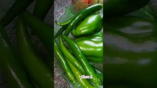 Download Lagu FRESH VEGETABLES| KHUDRAWAT| #fresh #vegetables #yummy #arabic #ofw #ofwkuwait #abroad #viral Download Lagu FRESH VEGETABLES| KHUDRAWAT| #fresh #vegetables #yummy #arabic #ofw #ofwkuwait #abroad #viral