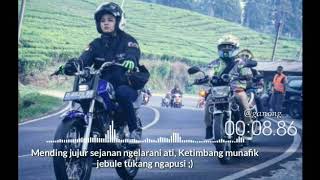 Story WA rx king