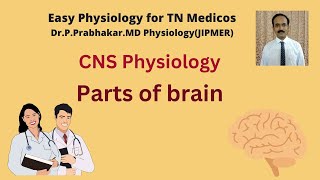 Parts of brain