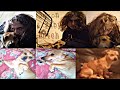@TheEliteVLOGS1 - ("Baby Butch, Lil Missy PHOTO") OFFICIAL PHOTO VIDEO! DIR. BY//@TheElitePs4Gamer.