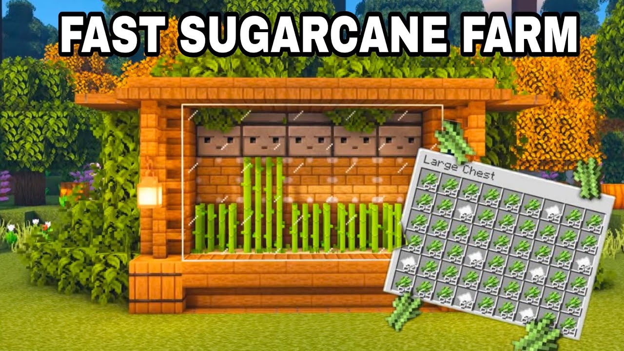 Easy Fast Automatic Sugarcane Farm minecraft sugarcane farm bedrock