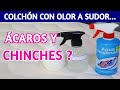 ✅ Cómo quitarle CHINCHES, ÁCAROS y MALOS OLORES  a tu COLCHÓN  fácil con PRODUCTOS NATURALES.