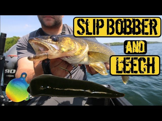 Catch More Walleyes - Slip Bobber Walleye Fishing 