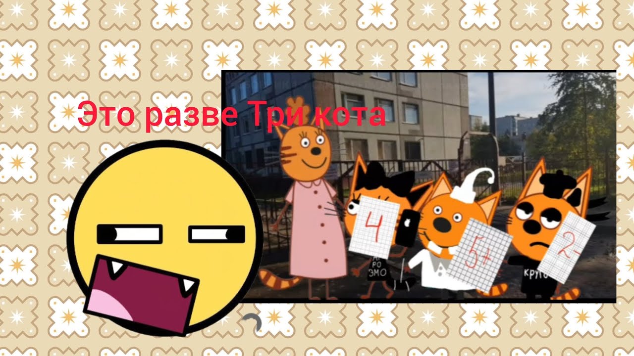 Реакция на трёх котов из лайки😺😸😾