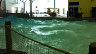 The Wave Pool At The Windsor Family Aquatic Complex