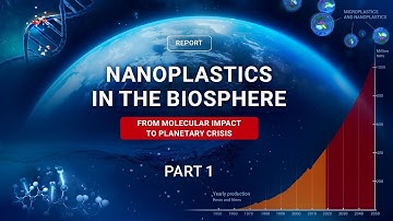 Nanoplastics: Invisible Threat That Already Affects Everyone | Excerpt #1 from a Scientific Report