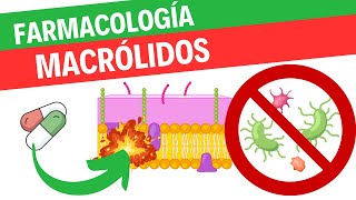 Farmacología de la azitromicina y otros macrólidos