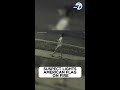 LAPD investigating flag burning at West Hills home as possible hate crime