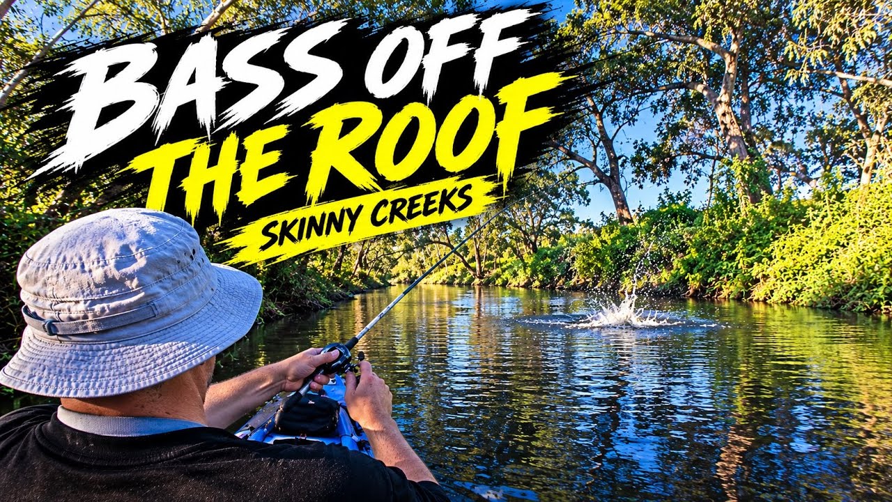 AUSSIE BASS! skinny creeks, shallow water. They can't help themselves. (man overboard)