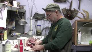 Testas Tuesday Tips - Striping Skeletons
