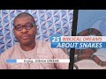 25 BIBLICAL MEANING OF DREAMS ABOUT SNAKES - Evangelist Joshua Orekhie