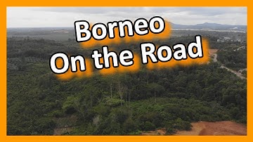 Borneo - Indonesia-Malaysia - On the road between Kumai and Kuching