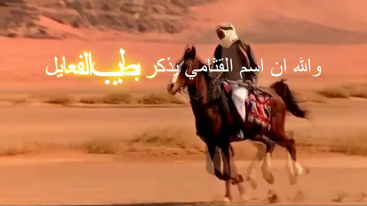 شيلة مهداة للشيخ فهد بن مسفر العماري القثامي وجماعته