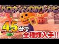【あつ森】最短30分で超高速ハロウィンDIYレシピのコンプ方法！リアタイ勢にも役に立つ!! 最新アプデで追加されたかぼちゃを被ることが重要だった!?【あつまれ どうぶつの森】【ぽんすけ】