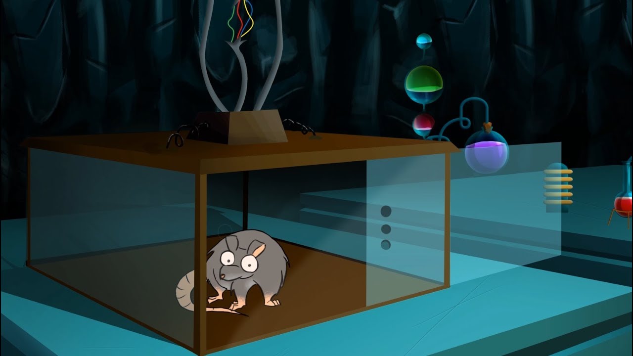 Animation And Sound Design Pro Lab Tumo Beirut