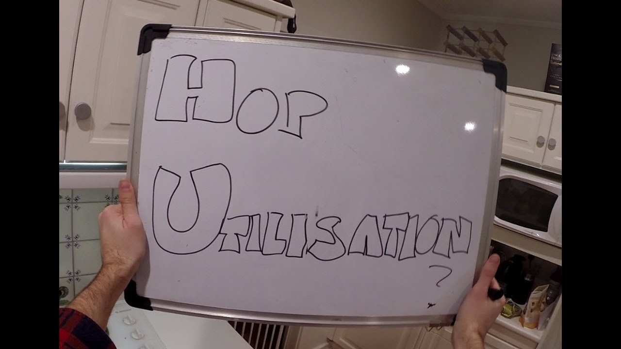 How to Boil Hops (for extract brewing) YouTube