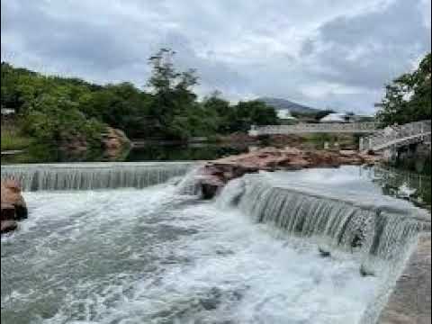 Are you up to the challenge of the Polar Plunge? Are you up to the challenge of the Polar Plunge?