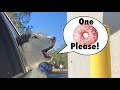 Meeka orders her own donut speaks perfect 