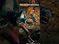 Old Nemesis bug in Dead By Daylight