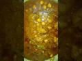 Chana chicken
