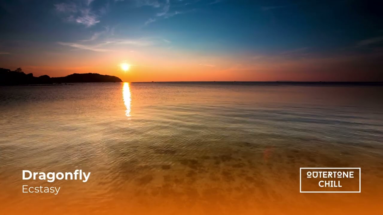 Guarda Chill Out, Downtempo Music by Dragonfly - Ecstasy (FREE DOWNLOAD) su YouTube Guarda Chill Out, Downtempo Music by Dragonfly - Ecstasy (FREE DOWNLOAD) su YouTube