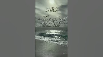القرآن_الكريم سورة النصر #محمد_الفقيه محم #قران_كريم #اكسبلور