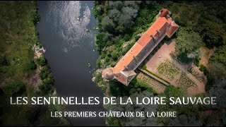 Les sentinelles de la Loire sauvage