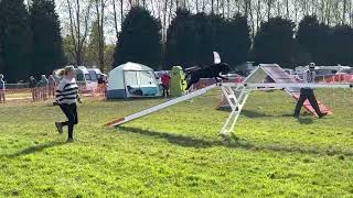 Agility #10 - Ardingly Wessex Agility 2023 Day 2 Run 2