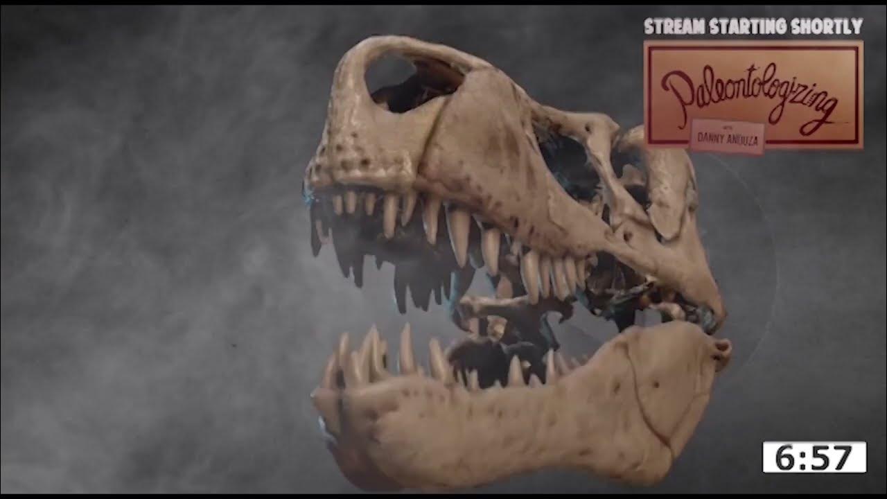 It's a DINOSAUR STREAM 🦕 Answering your fossil science questions (w