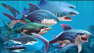 THE EVOLUTION OF GREAT WHITE SHARK (2010-2023) - ALL Hungry Shark Series