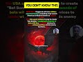 The Secret Bat Bomb Project of World War 2 (Real History) #shorts