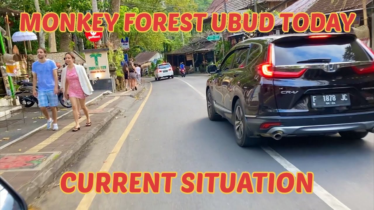 JALAN MONKEY FOREST UBUD TODAY | 17/06/2022 | CURRENT SITUATION