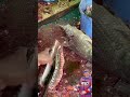 trending🐠cutting #fishhuntingfishing #fish #cuttingskills #fishinglife #shorts #shortsfeed #trending