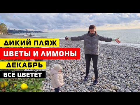 Видео: Кой се нуждае от сурогатна майка