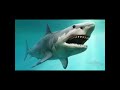 MEGALODON MEGAGORDON 🦈