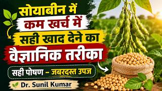 सोयाबीन में कम खर्च, ज्यादा उत्पादन! | SSP, Urea, Potash + Rhizobium & PSB का वैज्ञानिक उपयोग