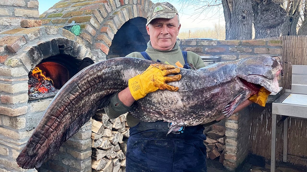 ГОТОВИМ МАССИВНЫЙ СОМ! 5 РАЗНЫХ БЛЮД