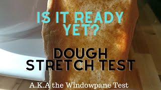 Performing a Windowpane Stretch Test on Bread Dough How to Tell If It's Properly Kneaded